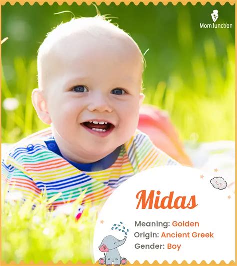 Midas Meaning In Telugu .